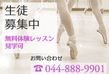 生徒募集中 無料体験レッスン見学可 044-888-9901